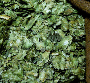 whole-hops-in-sack